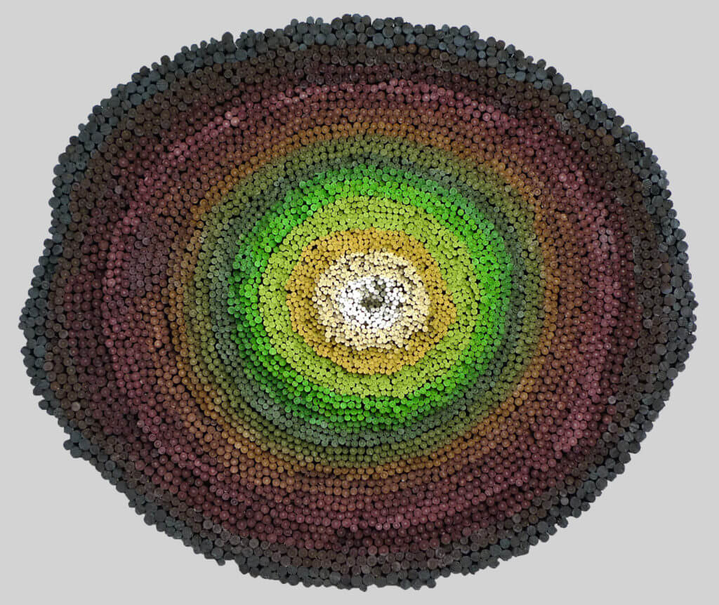 feliz cumpleaños olinda - open mines of latin america - paulo meconi