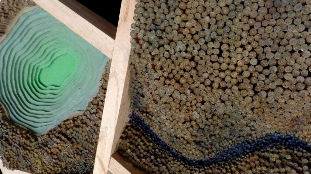 las minas abiertas de america latina - open mines of latin america - paulo meconi