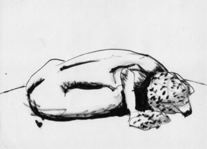 dibujo en tinta sobre papel - ink drawing on paper - paulo meconi