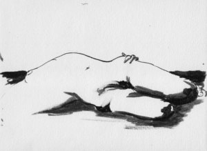 dibujo en tinta sobre papel - ink drawing on paper - paulo meconi