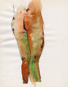 dibujo en tinta sobre papel - ink drawing on paper - paulo meconi